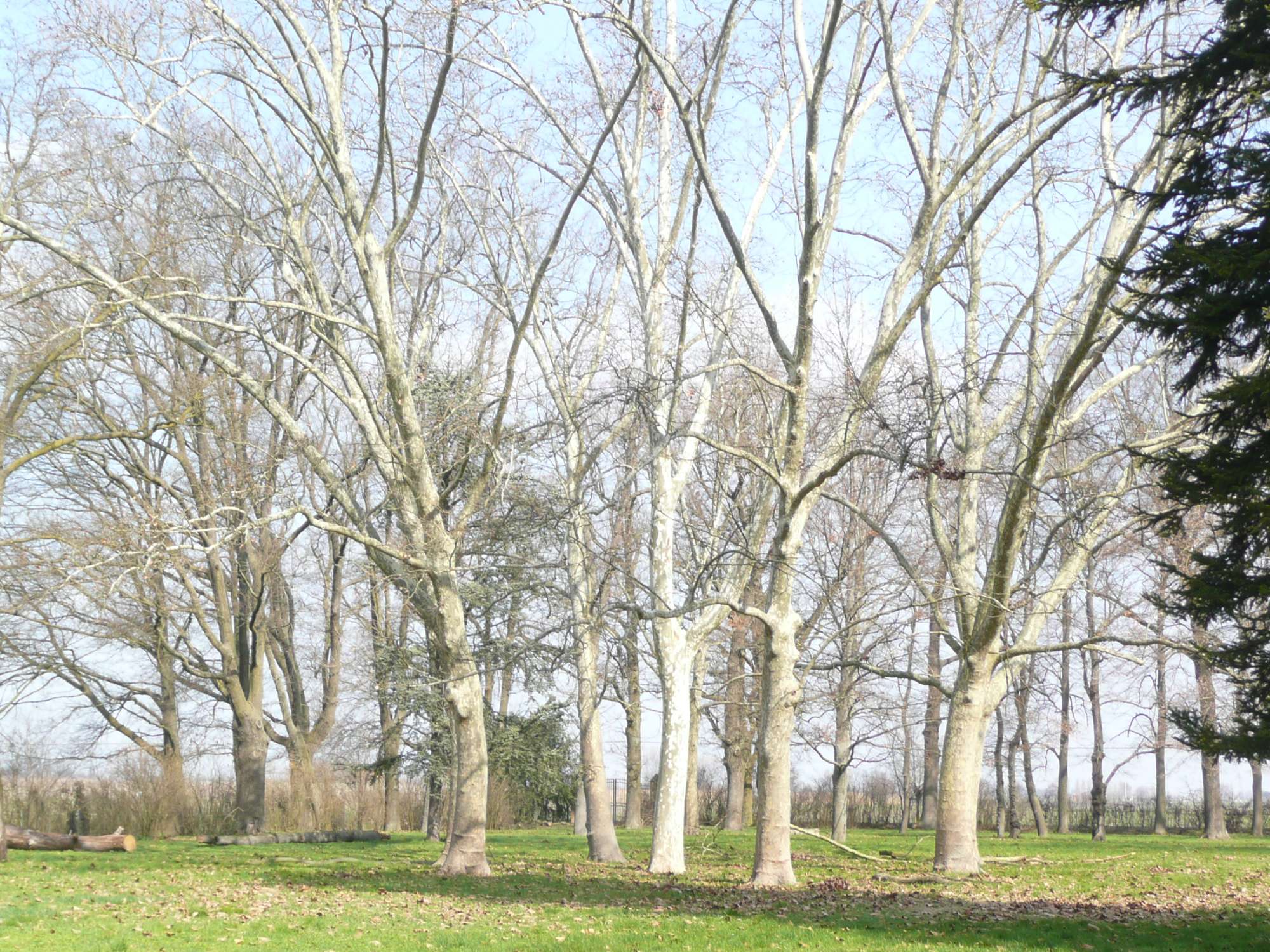 VB S. Martino Soverzano 4 BO